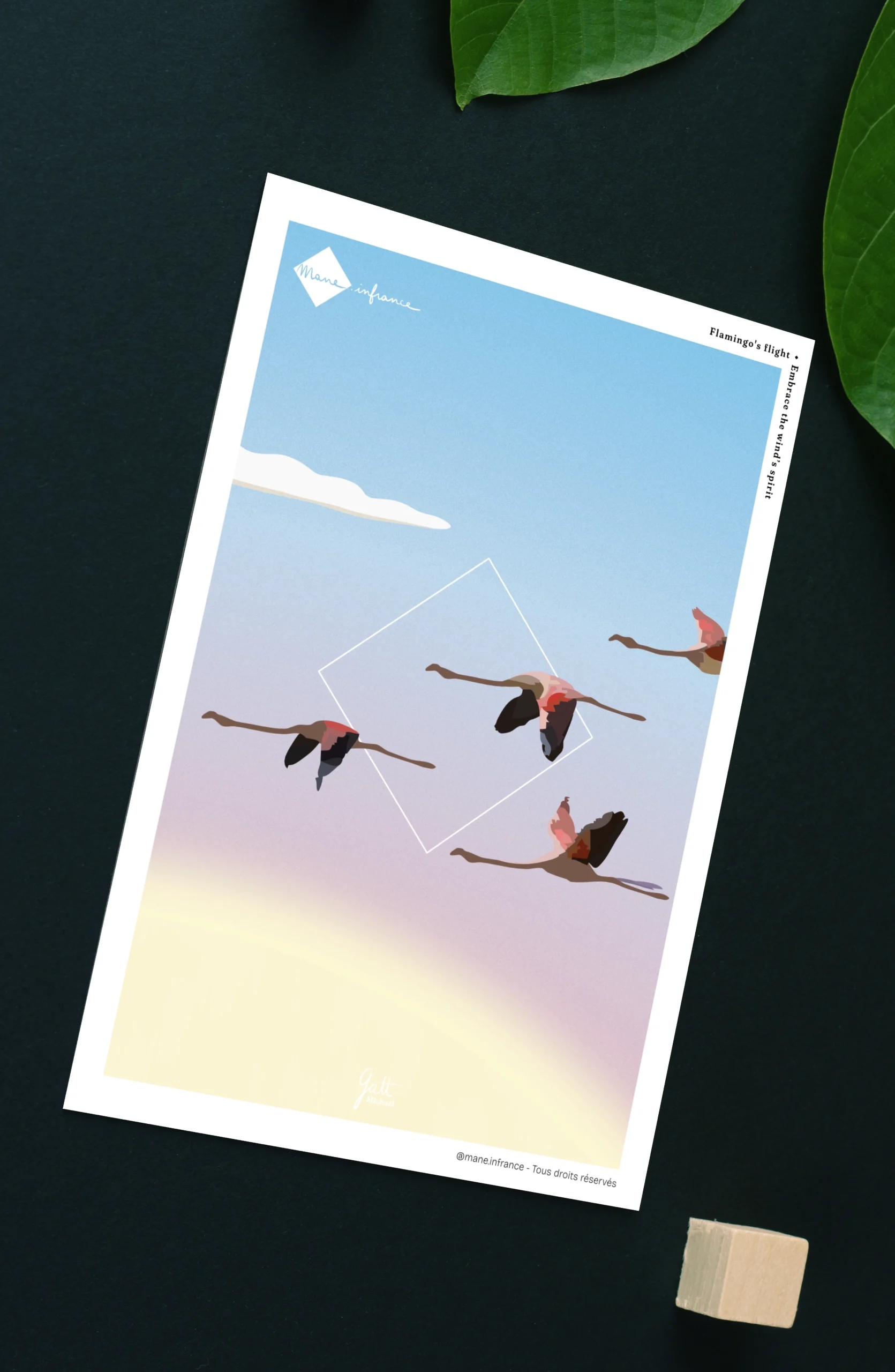 Carte postale - Flamingo's flight