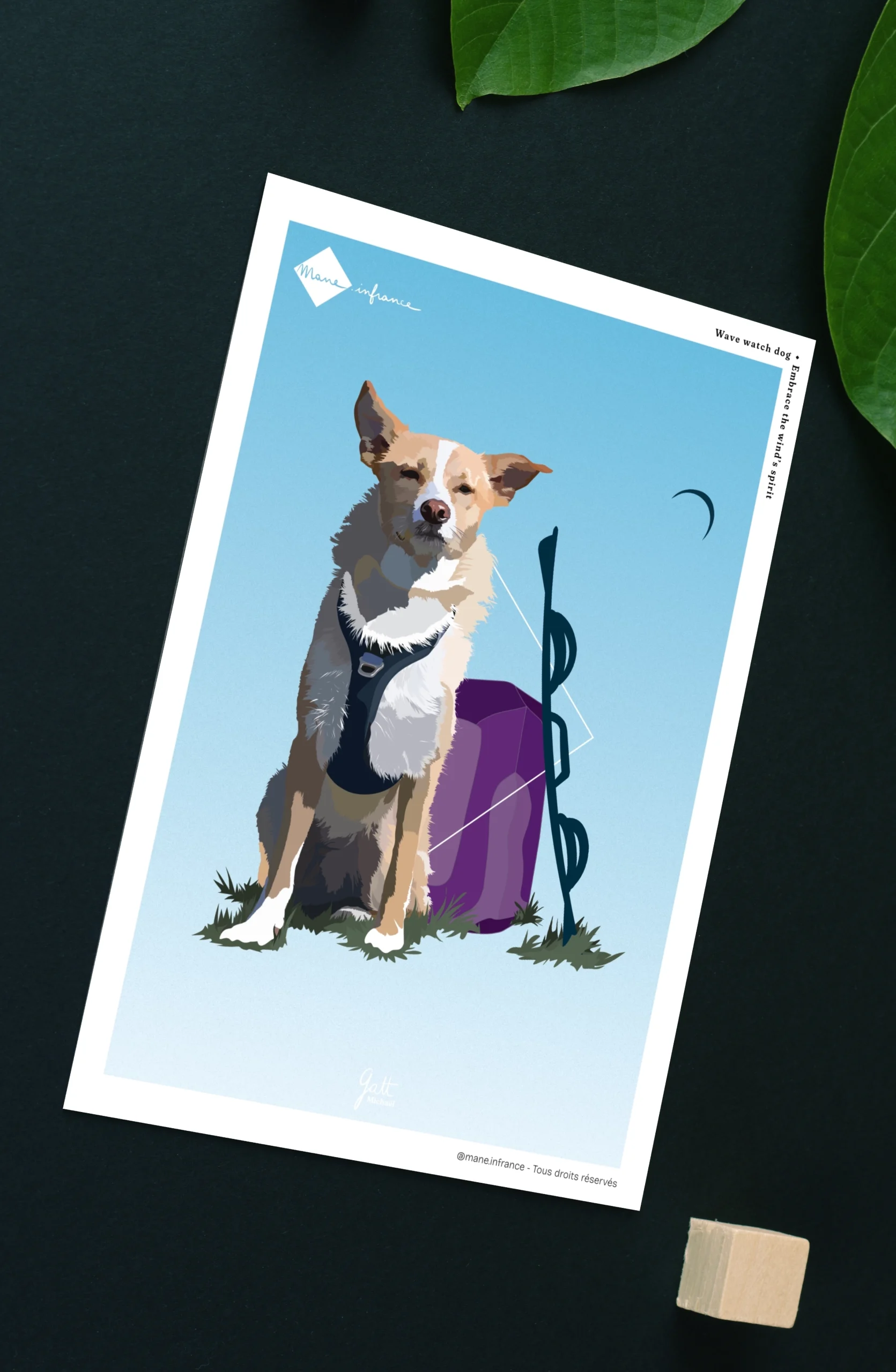 Carte postale - Wave watch dog