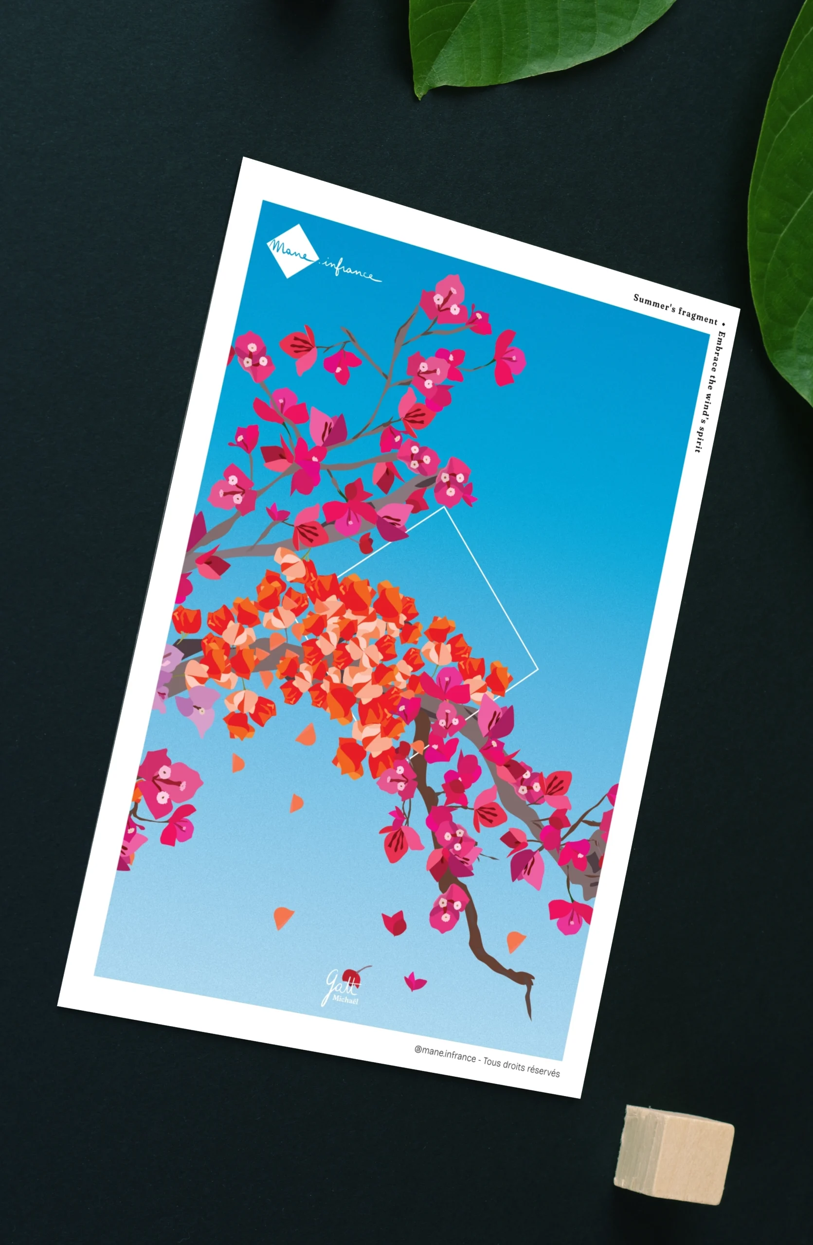 Carte postale - Summer's fragment